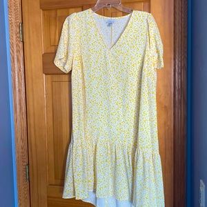 Spring or Summer Dress